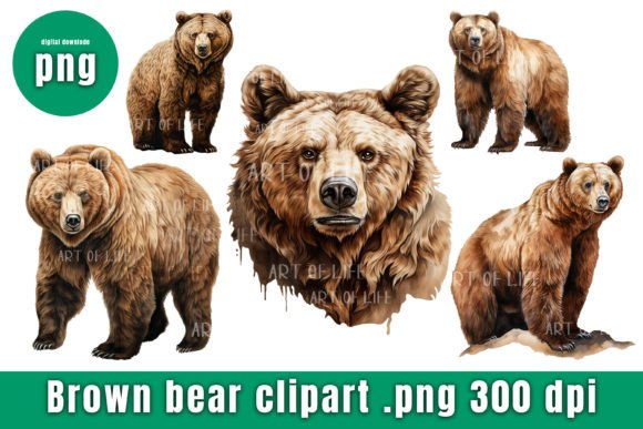 Download Watercolor Bear Clipart for Graphic. - Watercolor bear Collection